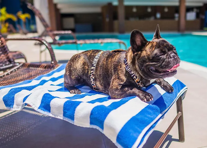 Nauticomar Resort All Inclusive & Beach Club
